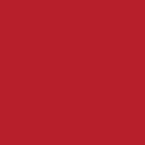 AGF Pure Solids RUBY PE-490