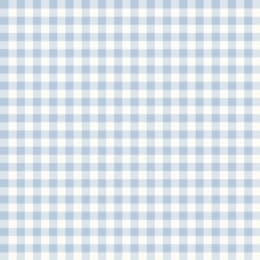 Gingham Weave 1/4" Blue