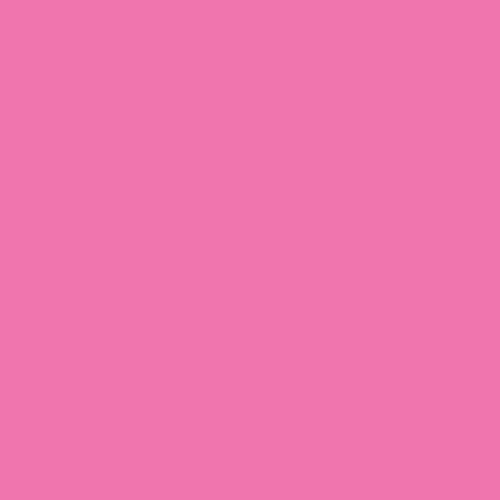 PE 404 Festival Fuchsia