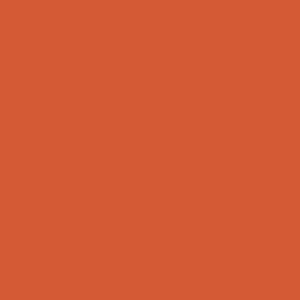 AGF Pure Solids AUTUMNAL PE 538