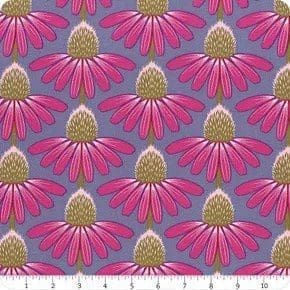 Love Always Echinacea HAUTE