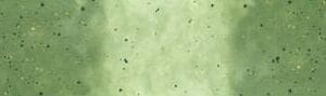 Ombre Galaxy Metallic EVERGREEN