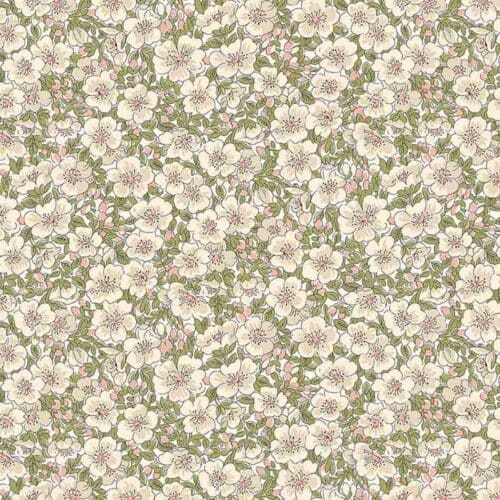 dina blossom c dina blossom c