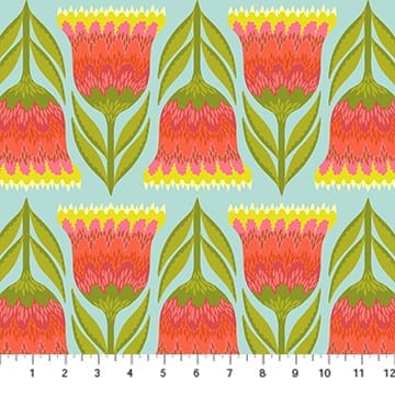 Celosia Lime Celosia Lime