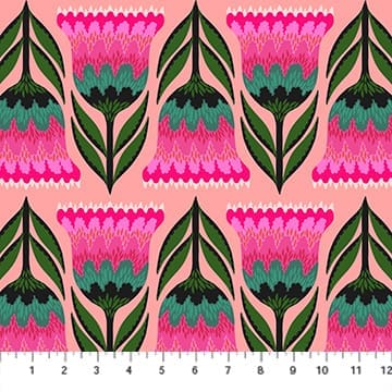 Celosia Punch Celosia Punch