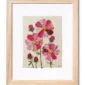 cosmos