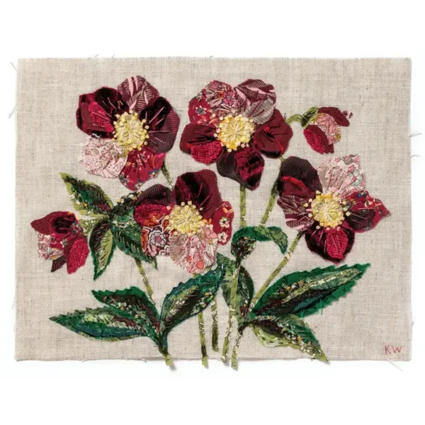 Hellebores