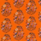 shalin orange coupon