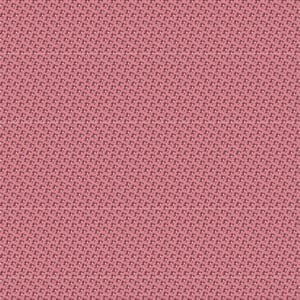 Le Petit Bonheur - Coco 1