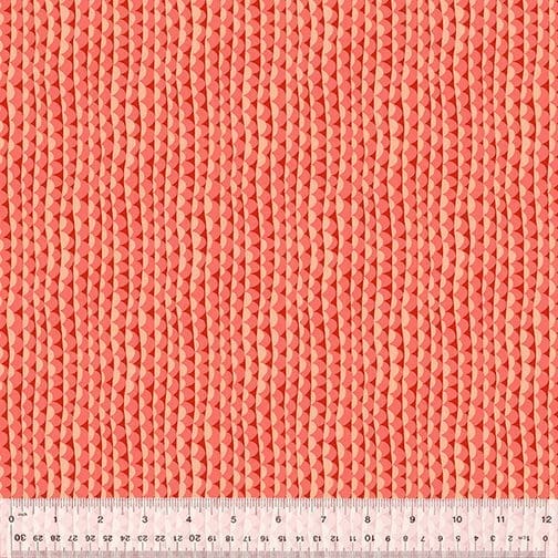 atlantis ripple coral atlantis ripple coral