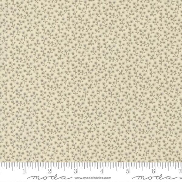 Ant 13956-19 Ant 13956-19