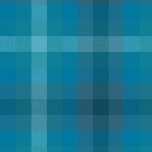 Stripes and Plaids - Plaid Denim
