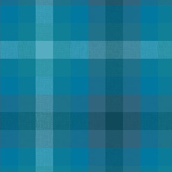 Plaid denim Plaid denim