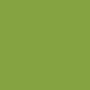 Tula Pink Dragon's Breath Matcha