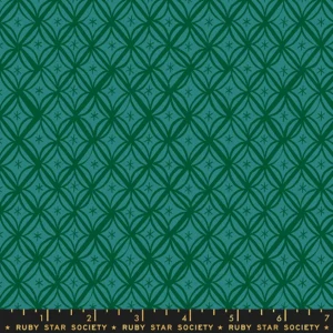 Macrame - Succulent