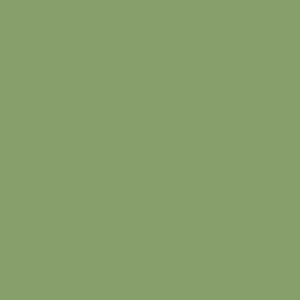 AGF Pure Solids ASPARAGUS PE 542