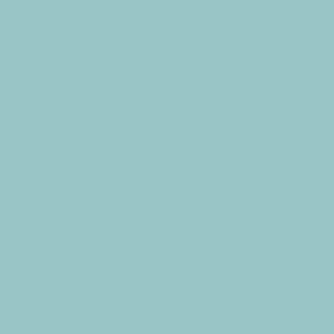 AGF Pure Solids MORNING FROST PE 545