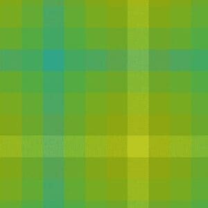 Stripes and Plaids - Plaid Lichen