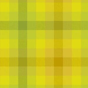 Stripes and Plaids - Plaid Sunshine