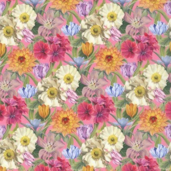 melody blooms b