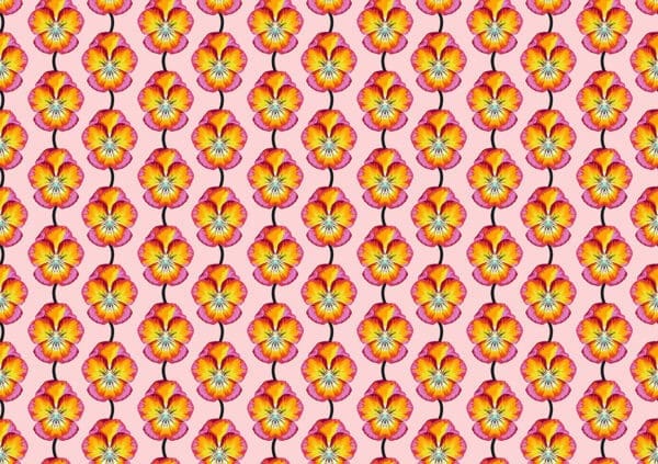 Pansy flame